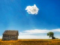 Last cloud in the sky