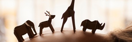 Elementum Erat Congue