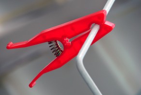 Sed porttitor auctor magna.