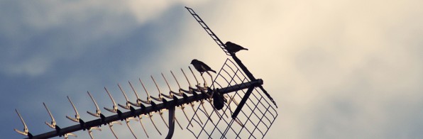 Vestibulum Bibendum Nibh Quis Sollicitudin