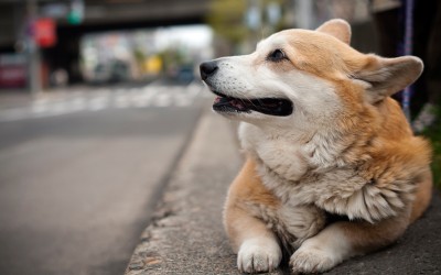 Still waiting. Where is he?